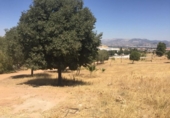 Sòl urbà en venda a la España, Pedro Verde, ref.: TR120048 foto