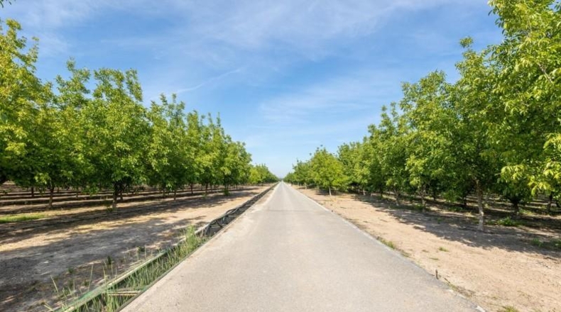 Granada - Pinos Puente - 30000m2