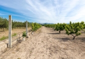 Chalet independiente con terreno en venta en la España, Pinos Puente, ref: TR409919 foto
