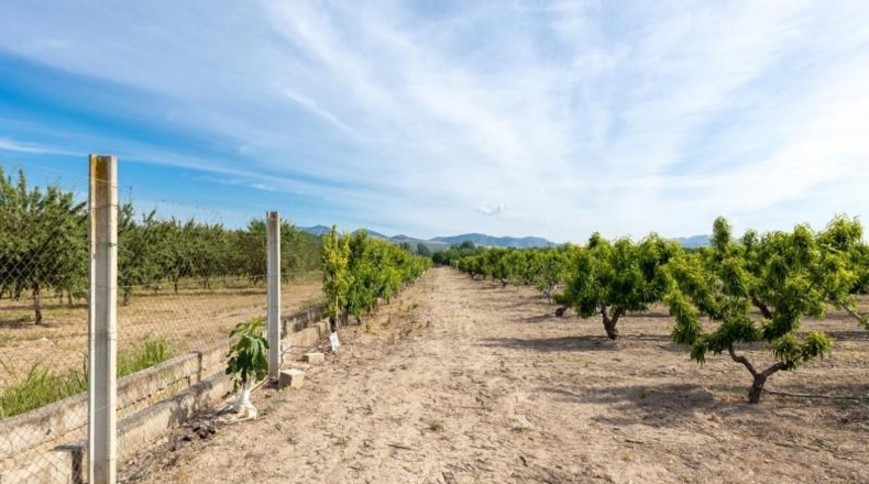 Granada - Pinos Puente - 30000m2