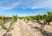 Chalet independiente con terreno en venta en la España, Pinos Puente, ref: TR409919 foto