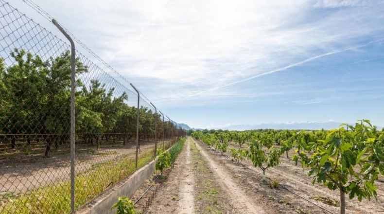 Granada - Pinos Puente - 30000m2