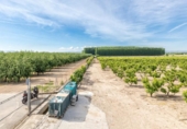 Chalet independiente con terreno en venta en la España, Pinos Puente, ref: TR409919 foto