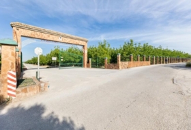 Pinos Puente 30000&nbsp;m²