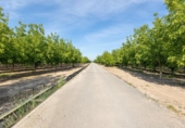 Detached villa with land for sale on España, Pinos Puente, ref: TR412817 photo