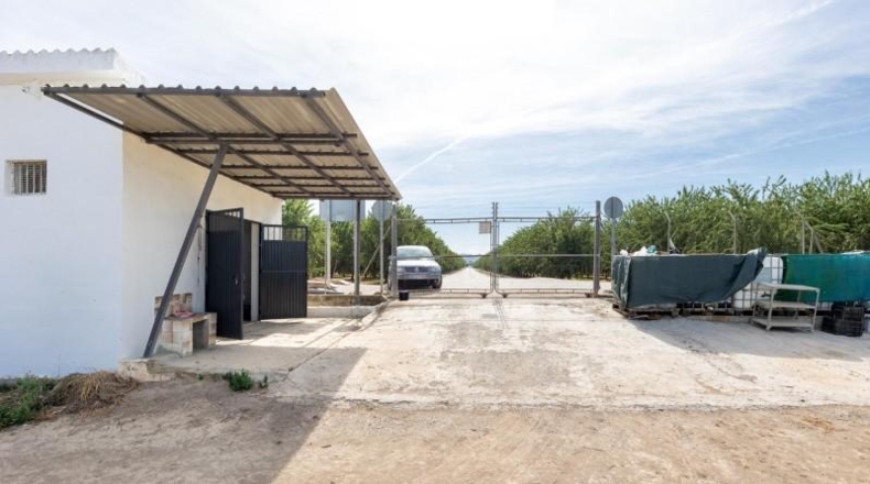 Granada - Pinos Puente - 30000m2