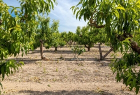 Pinos Puente 30000&nbsp;m²