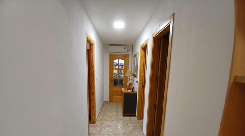 Alicante - Albatera - 5171m2