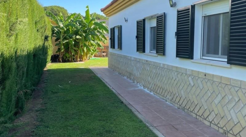 Sevilla - Bollullos de la Mitación - 785m2