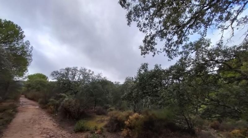 Córdoba - Córdoba - 83944m2