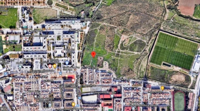 Granada - Granada - 62300m2