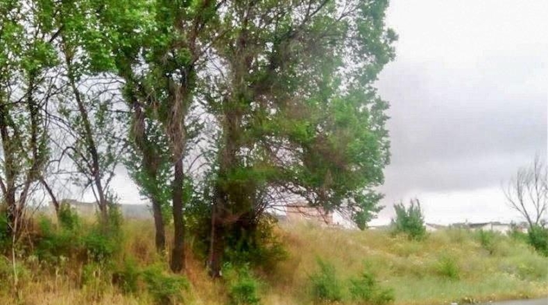 Granada - Granada - 62300m2