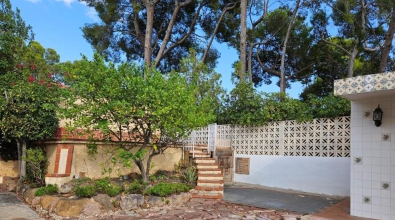 Cádiz - Paterna de Rivera - 550m2
