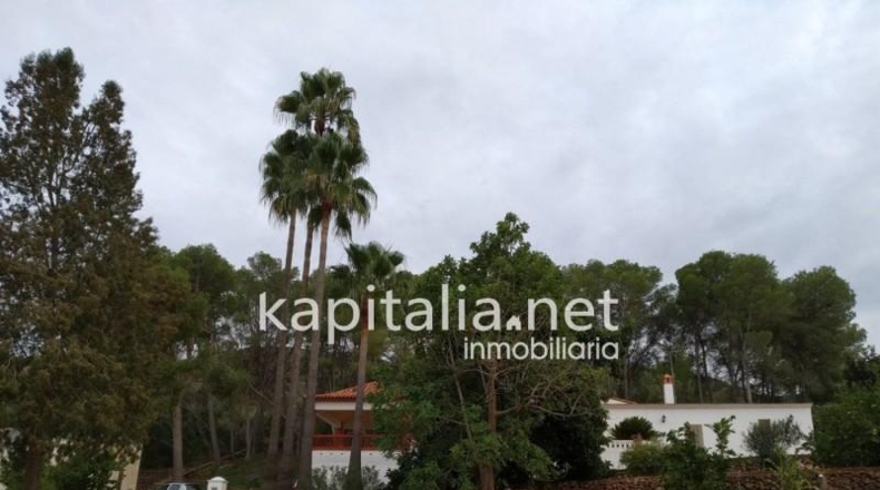 Valencia - Montesa - 55000m2