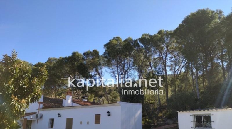 Valencia - Montesa - 55000m2