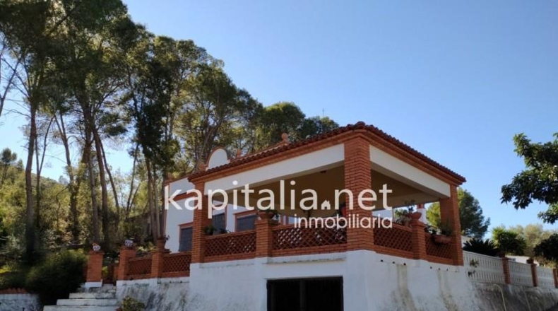 Valencia - Montesa - 55000m2