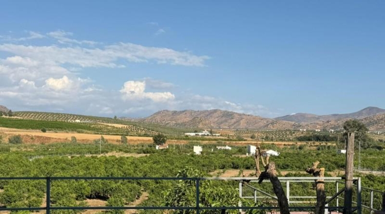 Malaga - Альора - 16000m2