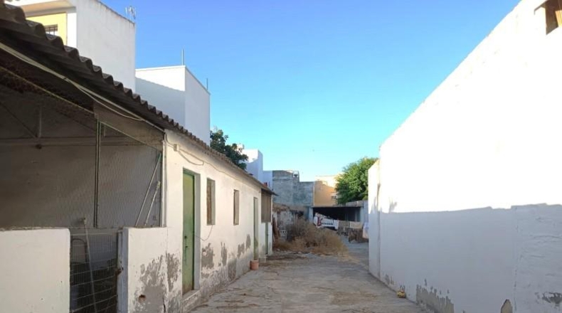 Sevilla - Castilleja de la Cuesta - 481m2