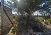 Chalet independiente con terreno en venta en la España, San Vicente del Raspeig, ref: TR370956 foto