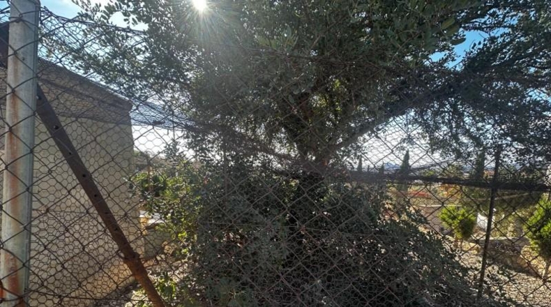 Alicante - Sant Vicent del Raspeig - 184m2