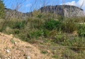 Sòl urbà en venda a la España, Alaró, ref.: TR360107 foto