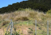 Sòl urbà en venda a la España, Alaró, ref.: TR360107 foto