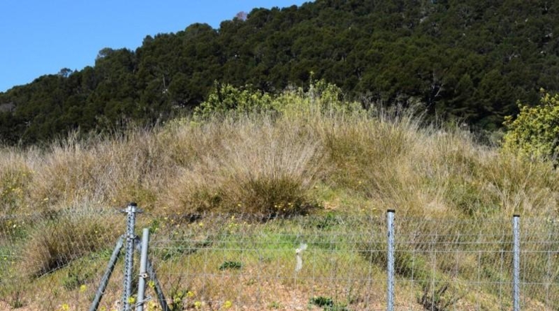 Balearic Islands - Alaró - 227m2