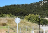 Sòl urbà en venda a la España, Alaró, ref.: TR360107 foto