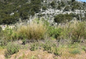Sòl urbà en venda a la España, Alaró, ref.: TR360107 foto