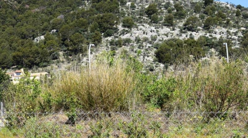 Balearic Islands - Alaró - 227m2