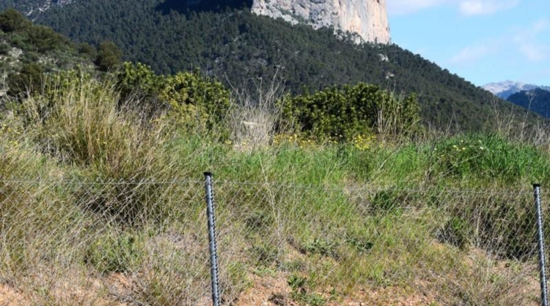 Balearic Islands - Alaró - 227m2