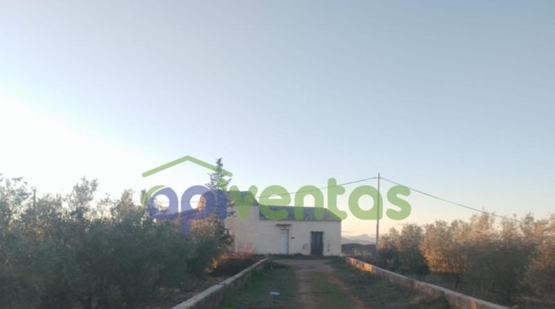 Múrcia - Lorca - 610000m2