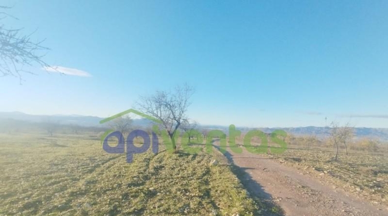 Múrcia - Lorca - 610000m2