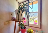 Casa de pueblo en venta en la España, el Pont de Bar, ref: TR395566 foto