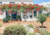 Casa de pueblo en venta en la España, Gerena, ref: TR395765 foto