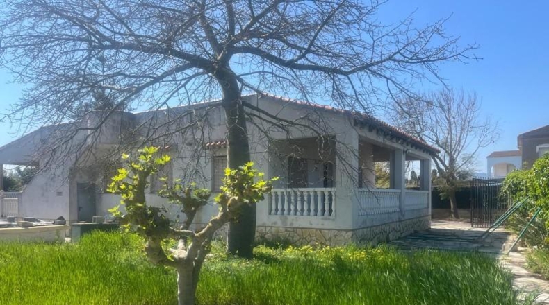 Valencia - Oliva - 1227m2