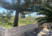 Chalet independiente con terreno en venta en la España, Oliva, ref: TR401784 foto