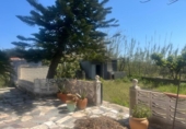 Chalet independiente con terreno en venta en la España, Oliva, ref: TR401784 foto