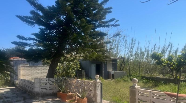 Valencia - Oliva - 1227m2