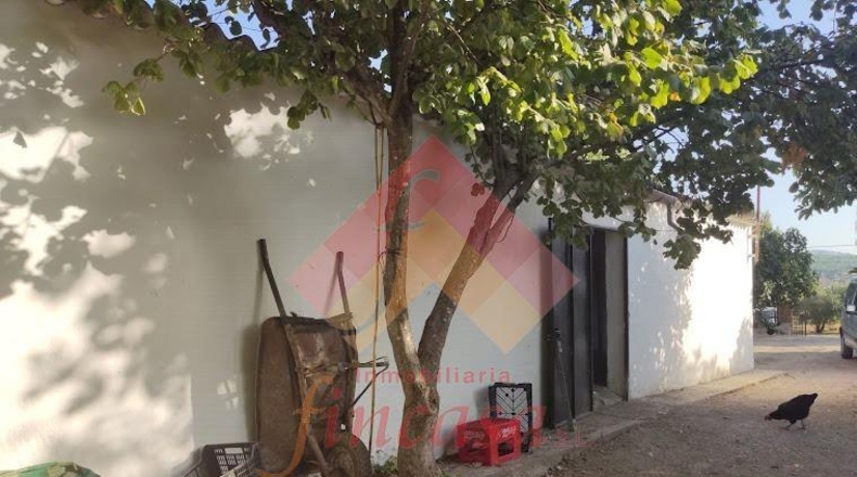 Málaga - Ronda - 25000m2