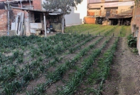 Foto 10