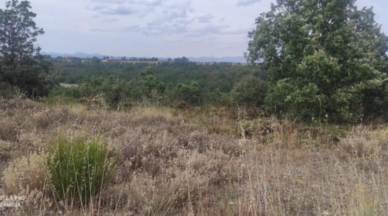 Leon - Garrafe de Torío - 10541m2
