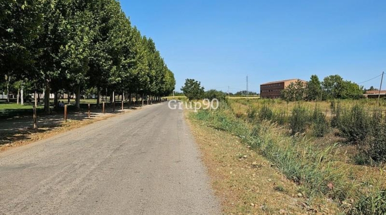 Lerida - Alcarràs - 14850m2