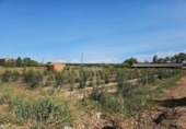 Parcela urbanizable en venta en la España, Alcarràs, ref: TR123968 foto
