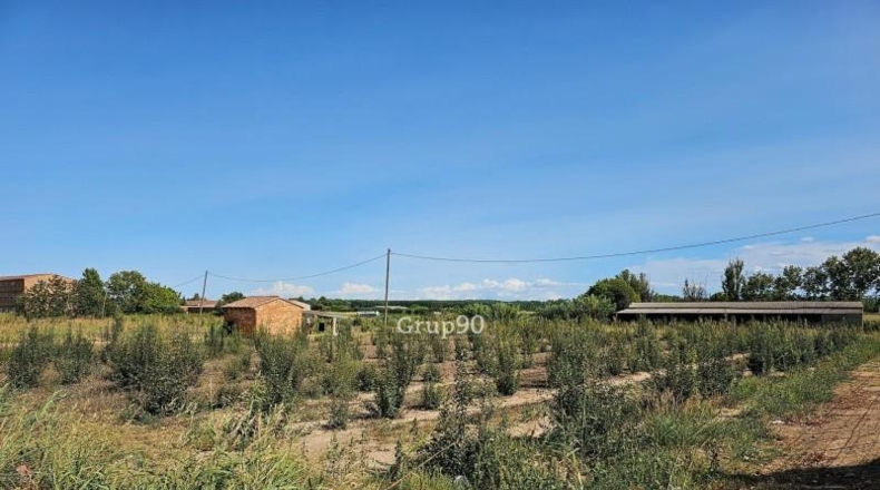 Lerida - Alcarràs - 14850m2