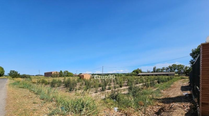 Lerida - Alcarràs - 14850m2
