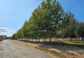 Parcela urbanizable en venta en la España, Alcarràs, ref: TR123968 foto