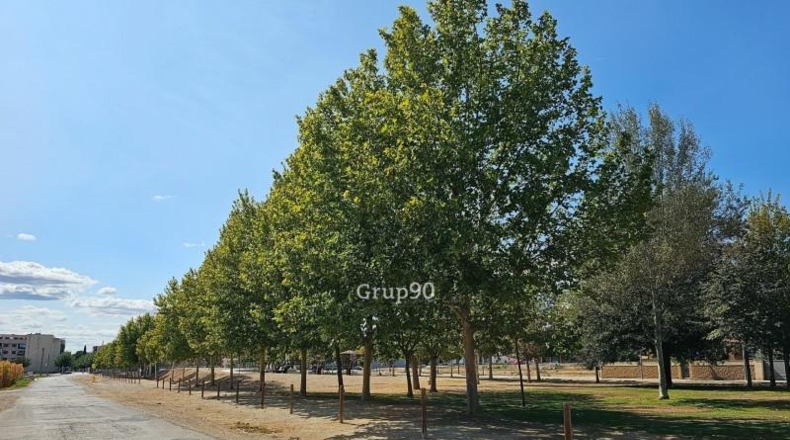 Lerida - Alcarràs - 14850m2