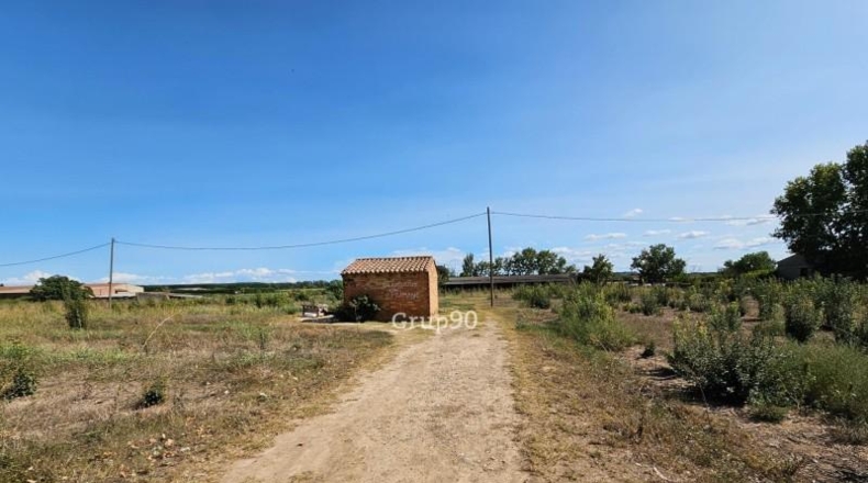 Lerida - Alcarràs - 14850m2