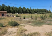 Parcela urbanizable en venta en la España, Alcarràs, ref: TR123968 foto